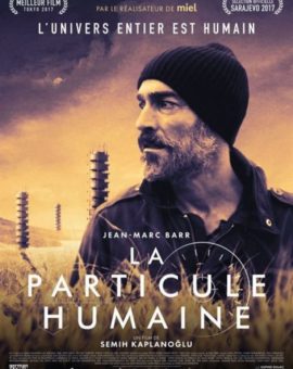 Grain, la particule humaine